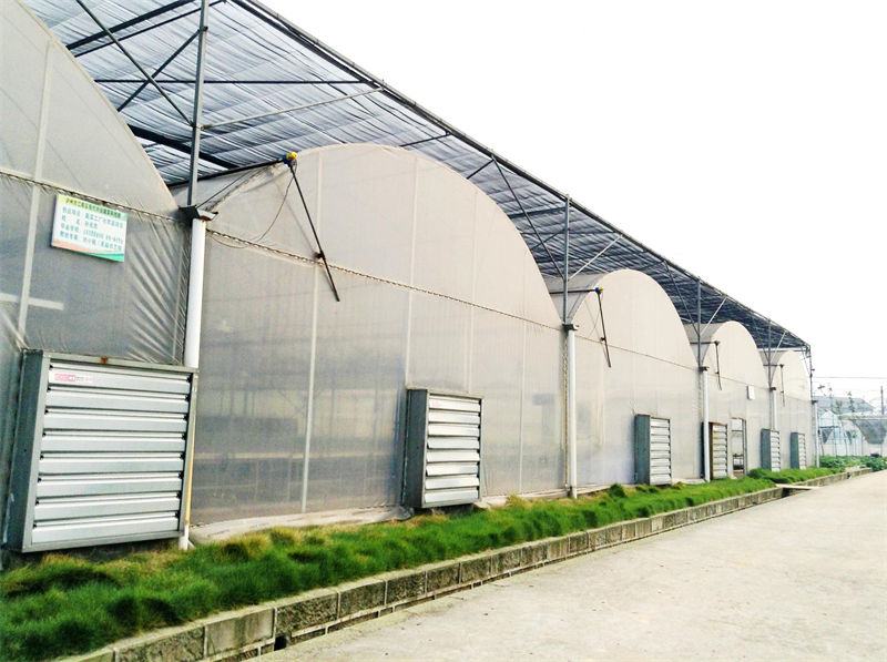 5G物聯網工業智能網關在農業溫室大棚養殖中的應用