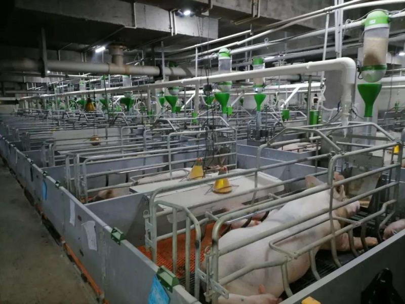 養殖行業正面臨監控管理等難題